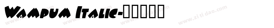 Wampum Italic字体转换